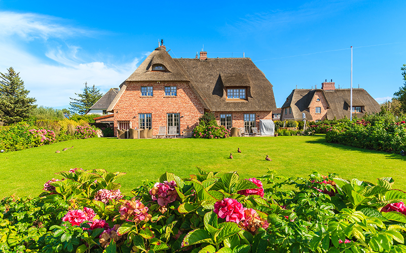 luxusimmobilie alleinstehendes reethaus in schleswig-holstein